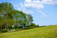 on Hafod-y-Coed